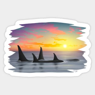 Orca Whale Sunset Sticker